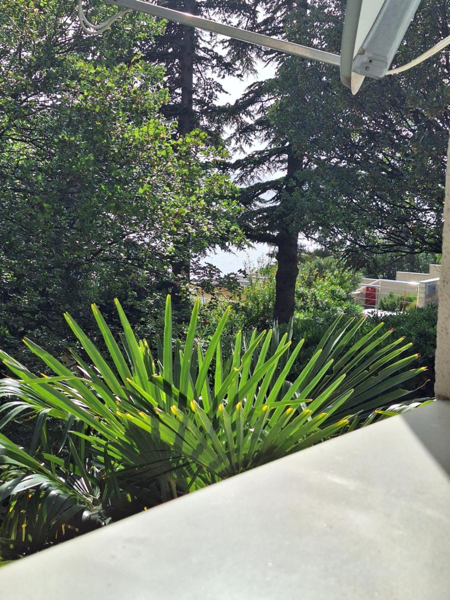 Villa Haus Niko 塞尼 外观 照片